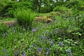 24 05 15_4269